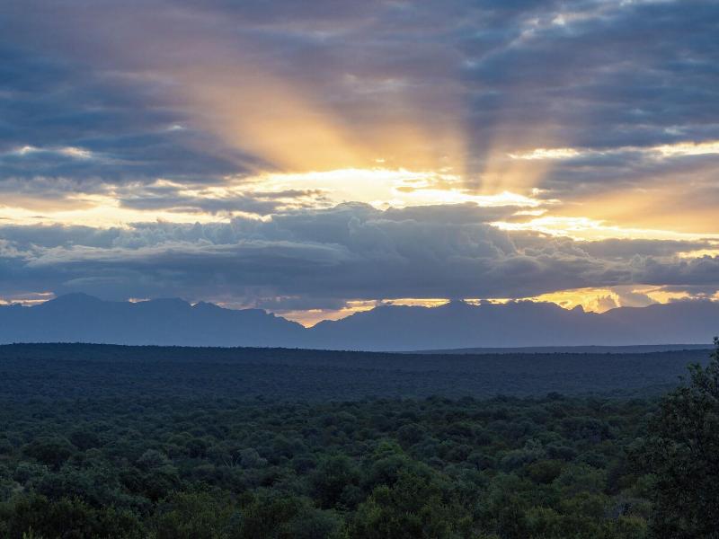 Oase By 7 Star Lodges image