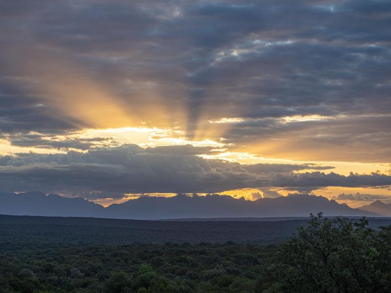Oase By 7 Star Lodges image
