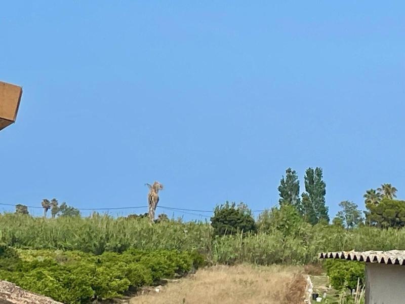 La Terreta Hotel image