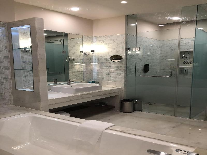 Le Meridien Jaipur image