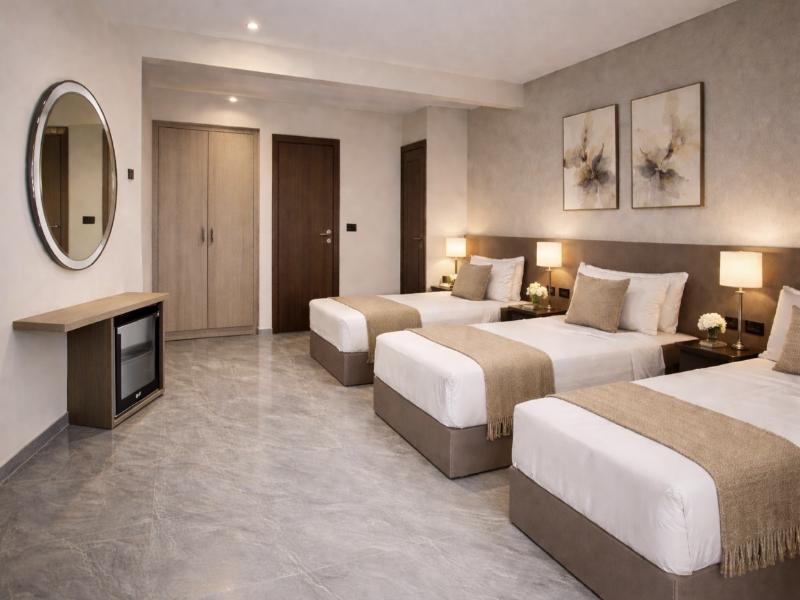 Viaje Hotel Downtown Cairo image