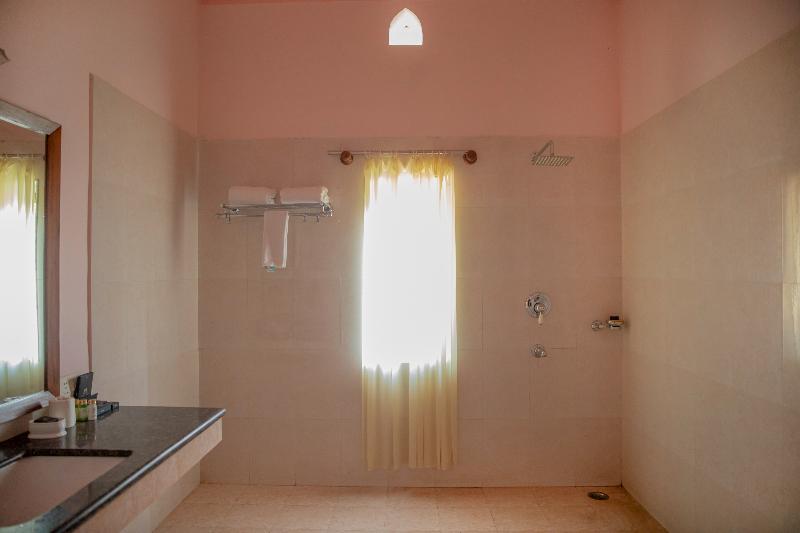 Shahpura Abhaneri Resort image 5
