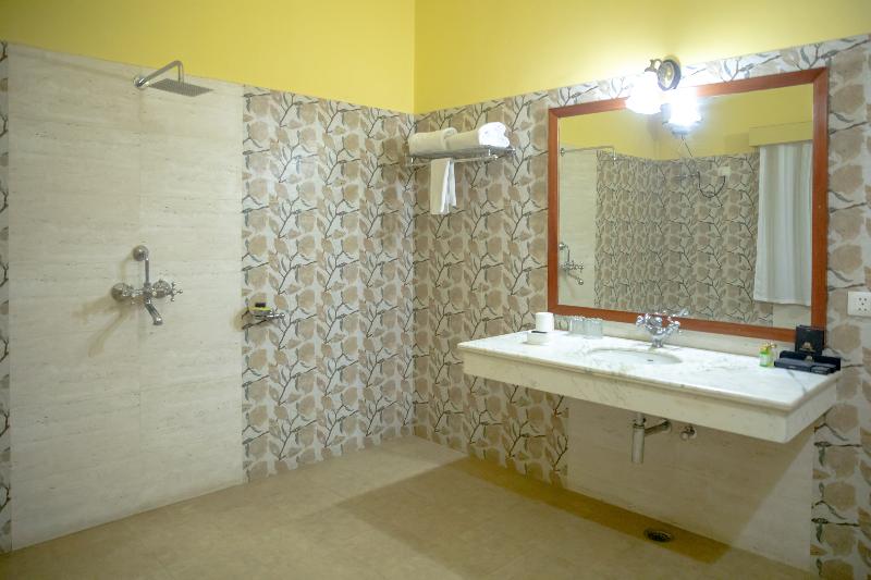 Shahpura Abhaneri Resort image 4