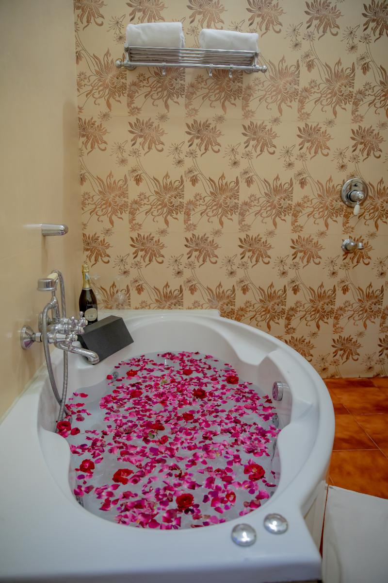 Shahpura Abhaneri Resort image 3