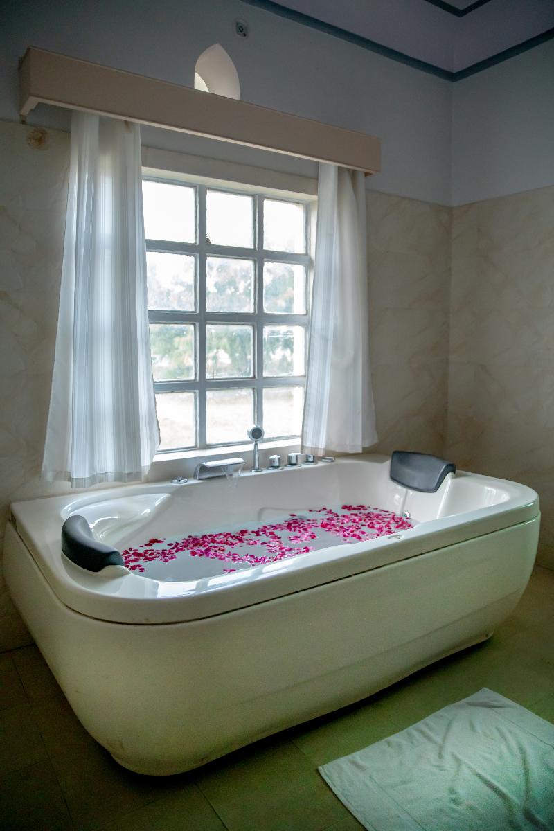 Shahpura Abhaneri Resort image