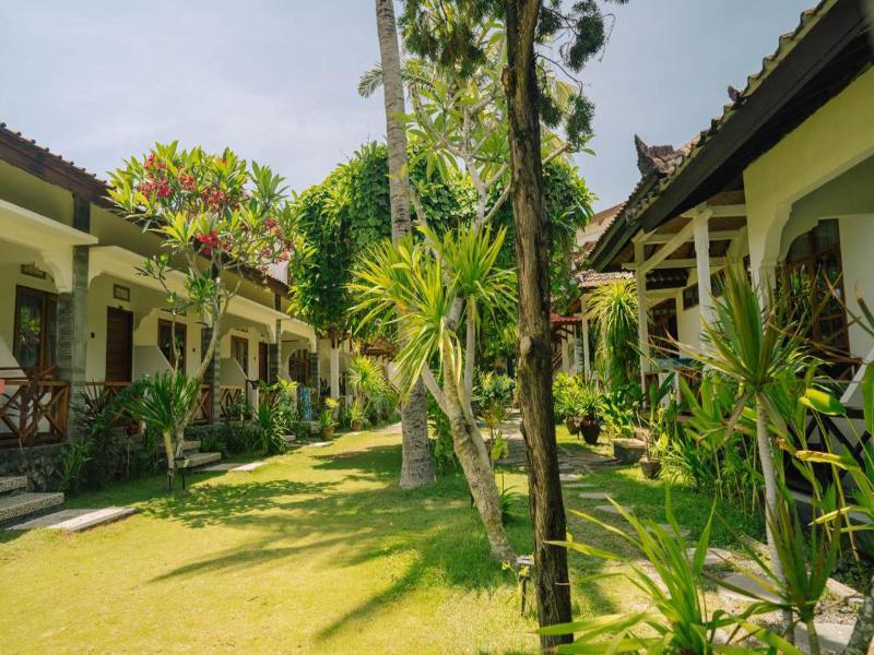 The Confidential Mandalika — general view