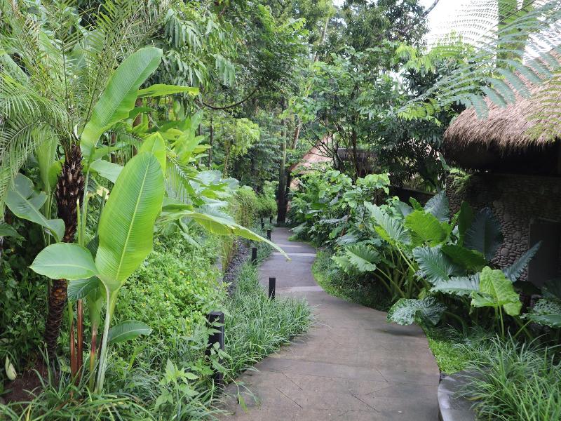 Akohara Buahan Village Retreat image