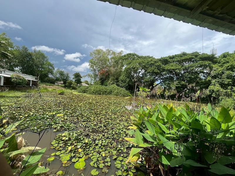 Saikaew Resort By Zuzu image