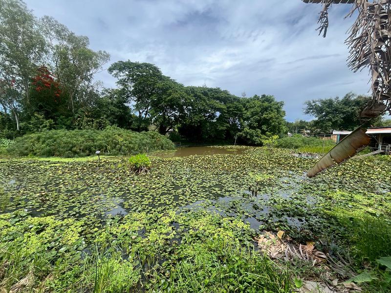 Saikaew Resort By Zuzu image