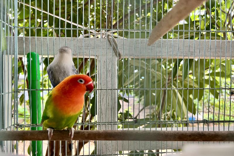 Bann Kam B&b By Zuzu