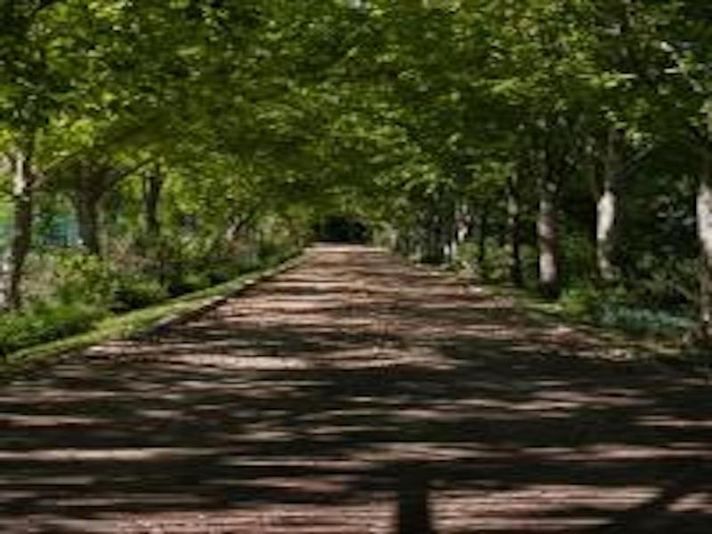 Sanddrif Stellenbosch Guest Farm image