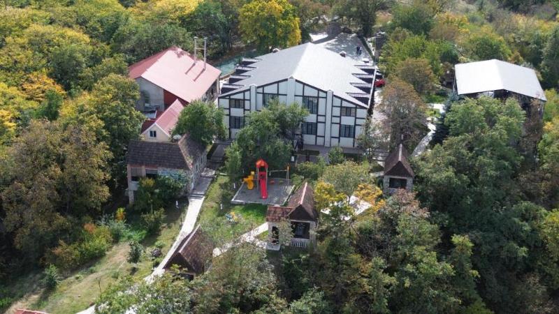 Qachaquch Forest image