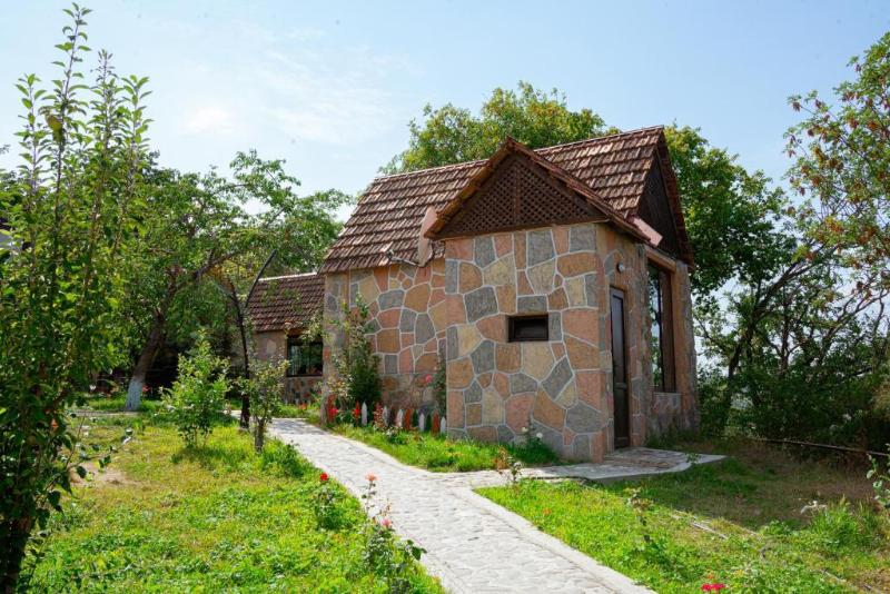 Qachaquch Forest image