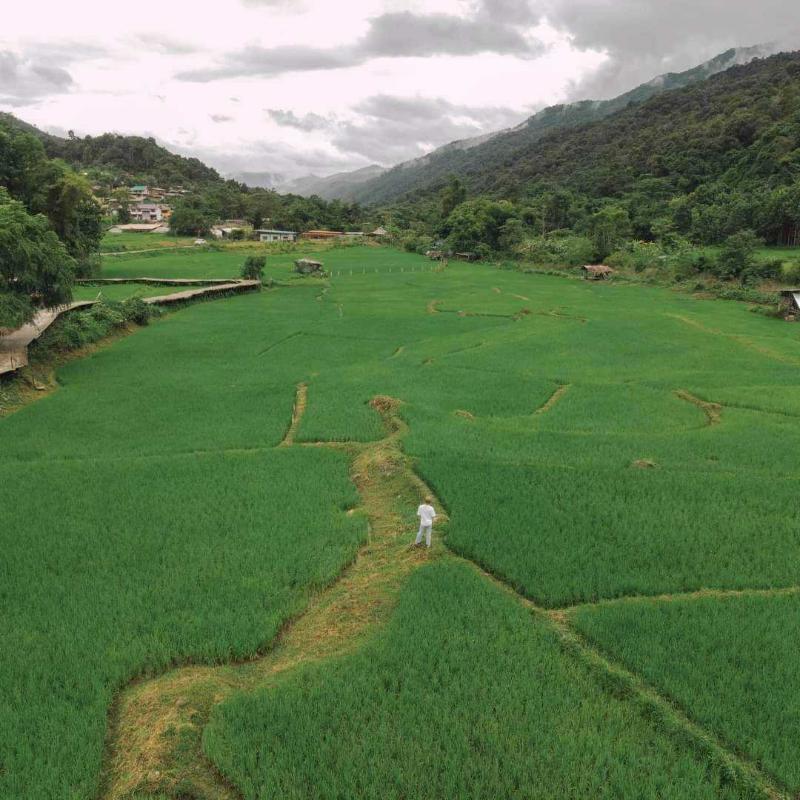Lomhaijai Homestay image