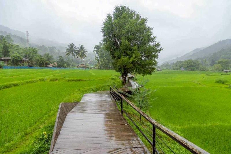 Lomhaijai Homestay image