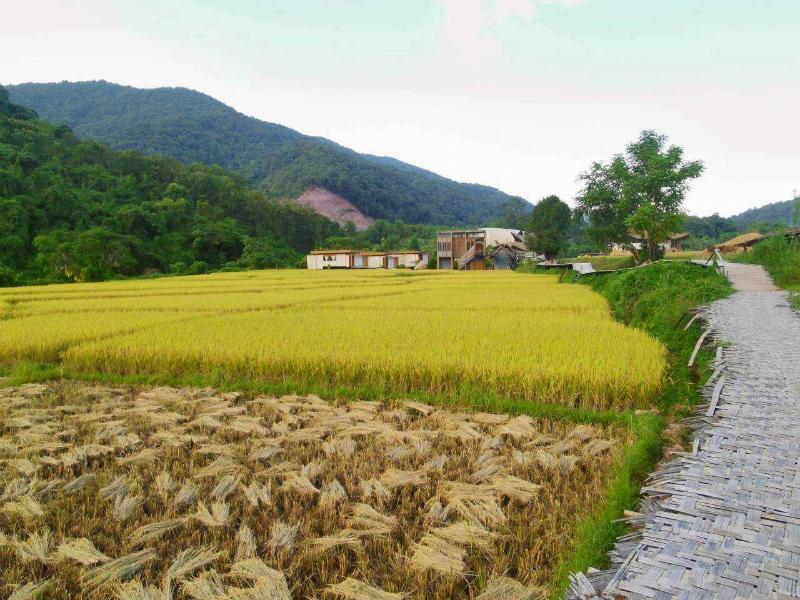 Lomhaijai Homestay image