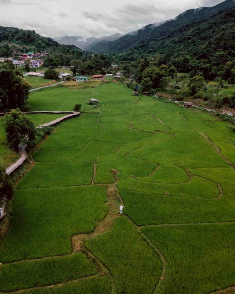 Lomhaijai Homestay image