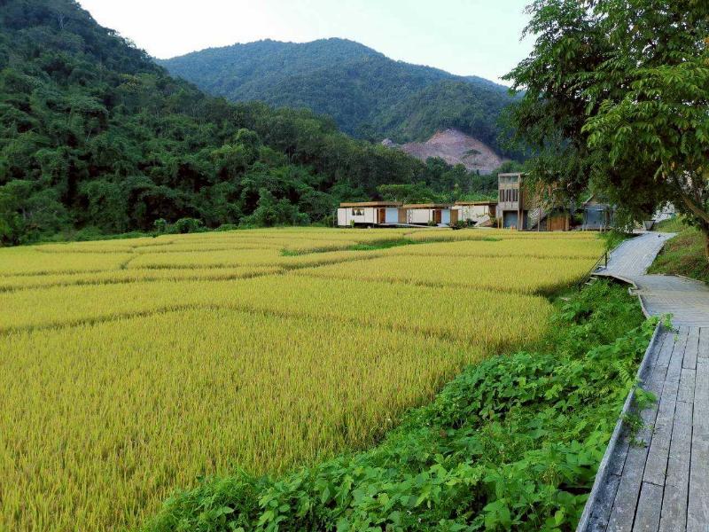 Lomhaijai Homestay image