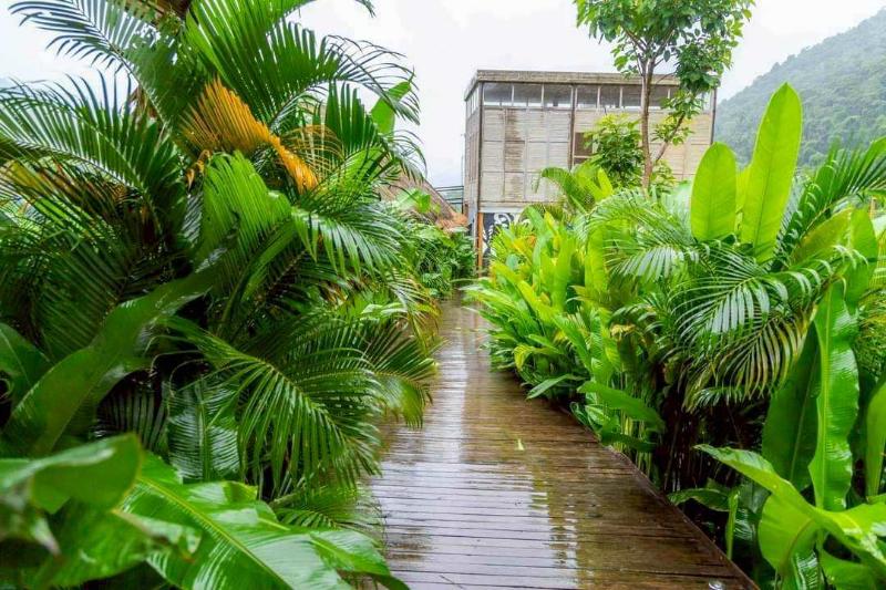 Lomhaijai Homestay image