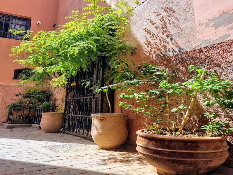 Riad Dar Serenity image