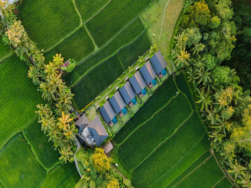 Ascarya Ubud image