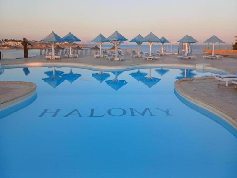 Grand Halomy image