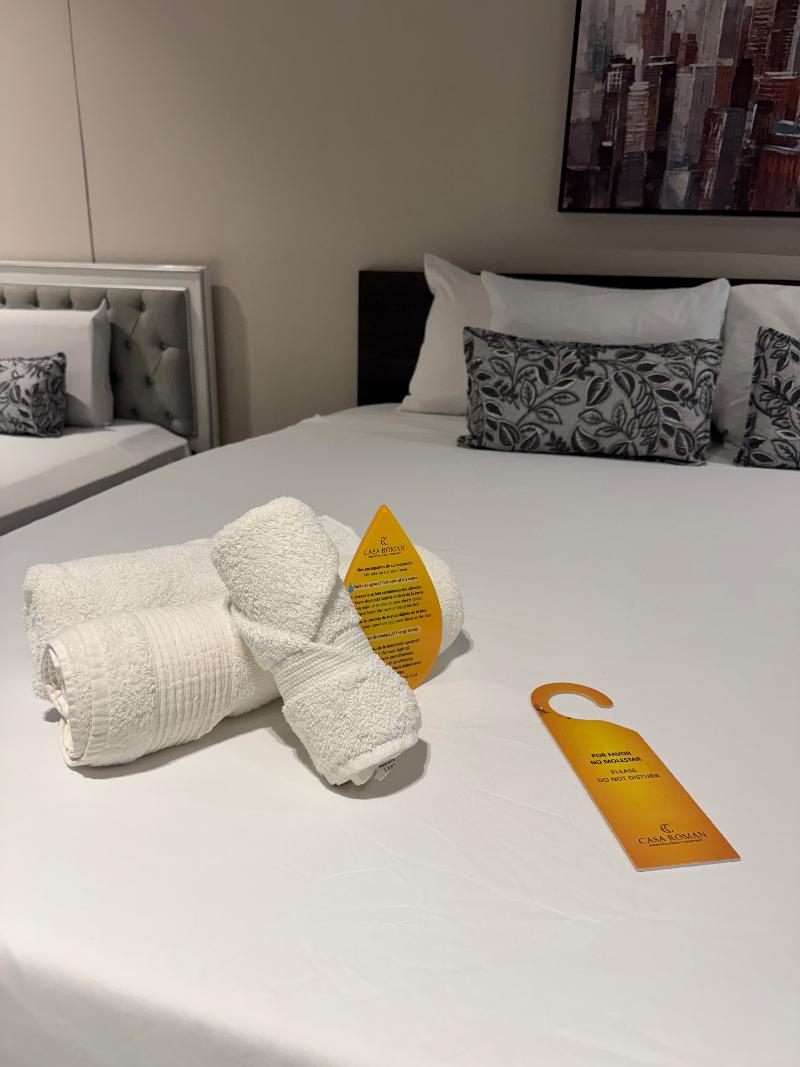 Casa Roman Hotel Boutique image