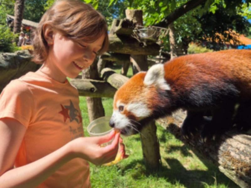 Ibis Styles Nantes Saint Herblain