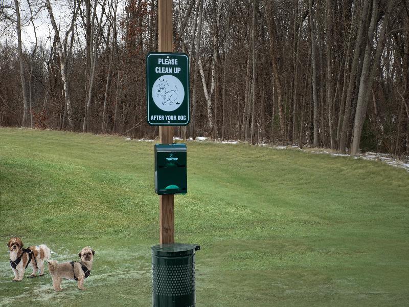 Spark by Hilton Northborough image