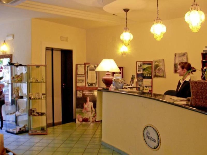 Il Nespolo image