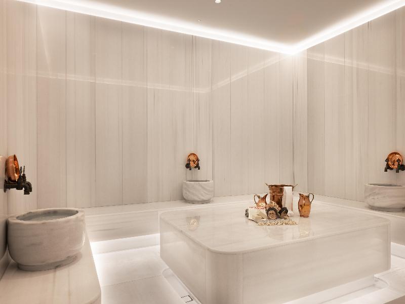 Hilton Istanbul Airport image
