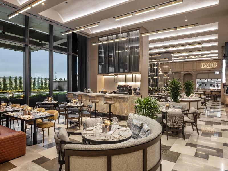 Hilton Istanbul Airport image