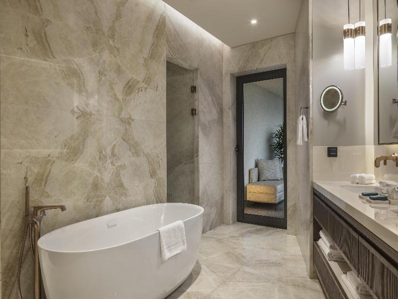 Hilton Istanbul Airport image
