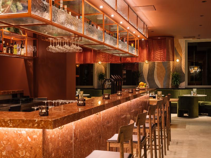 Hotel Schani City image