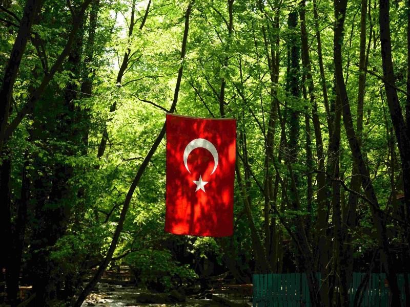 Karaaslan Kampi̇ng Tesi̇sleri̇ image