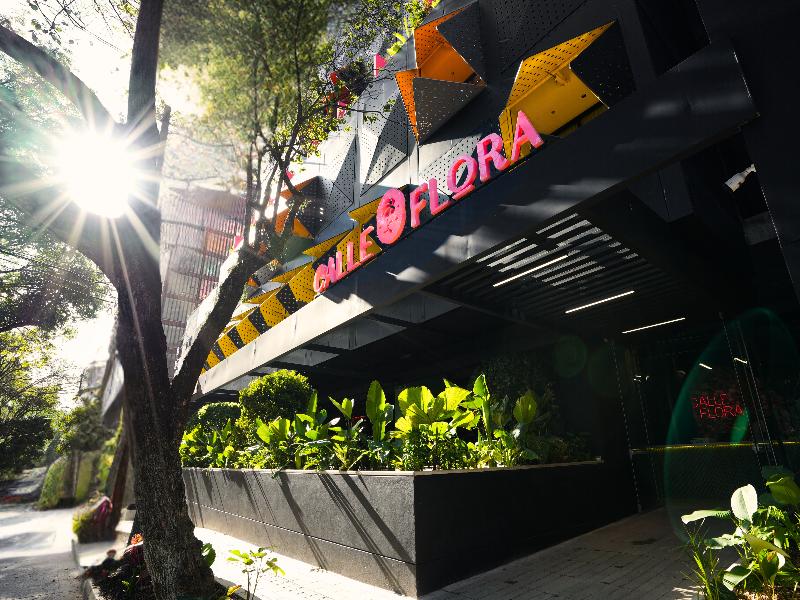 HOTEL CALLE FLORA BY JALO