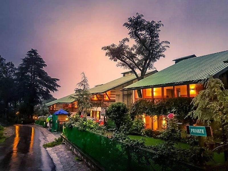 Lamrin Norwood Green Palampur image