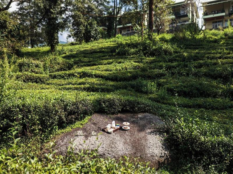 Lamrin Norwood Green Palampur image