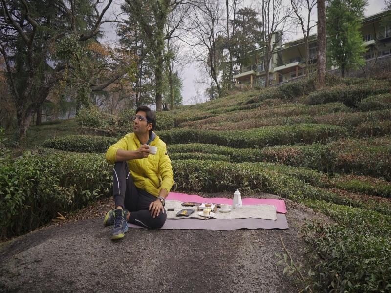 Lamrin Norwood Green Palampur image