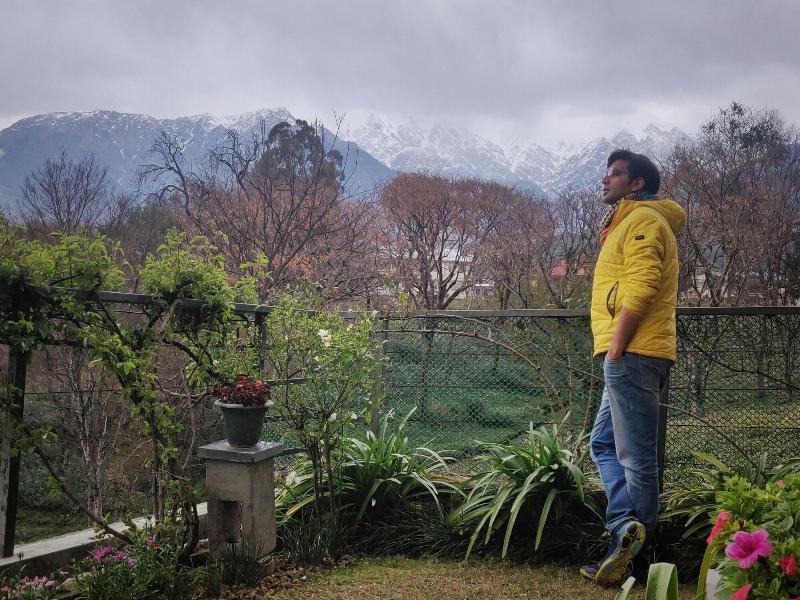 Lamrin Norwood Green Palampur image