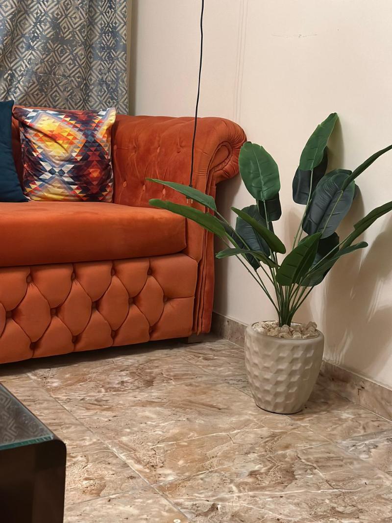 Luxe Nest image