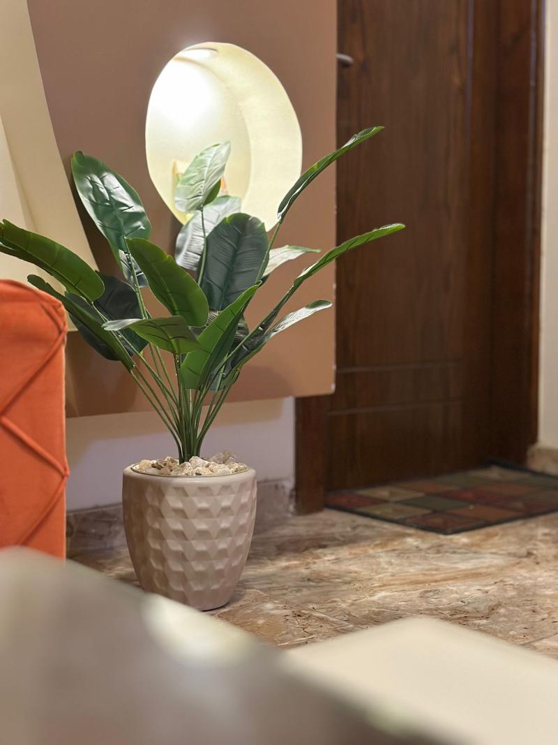 Luxe Nest image