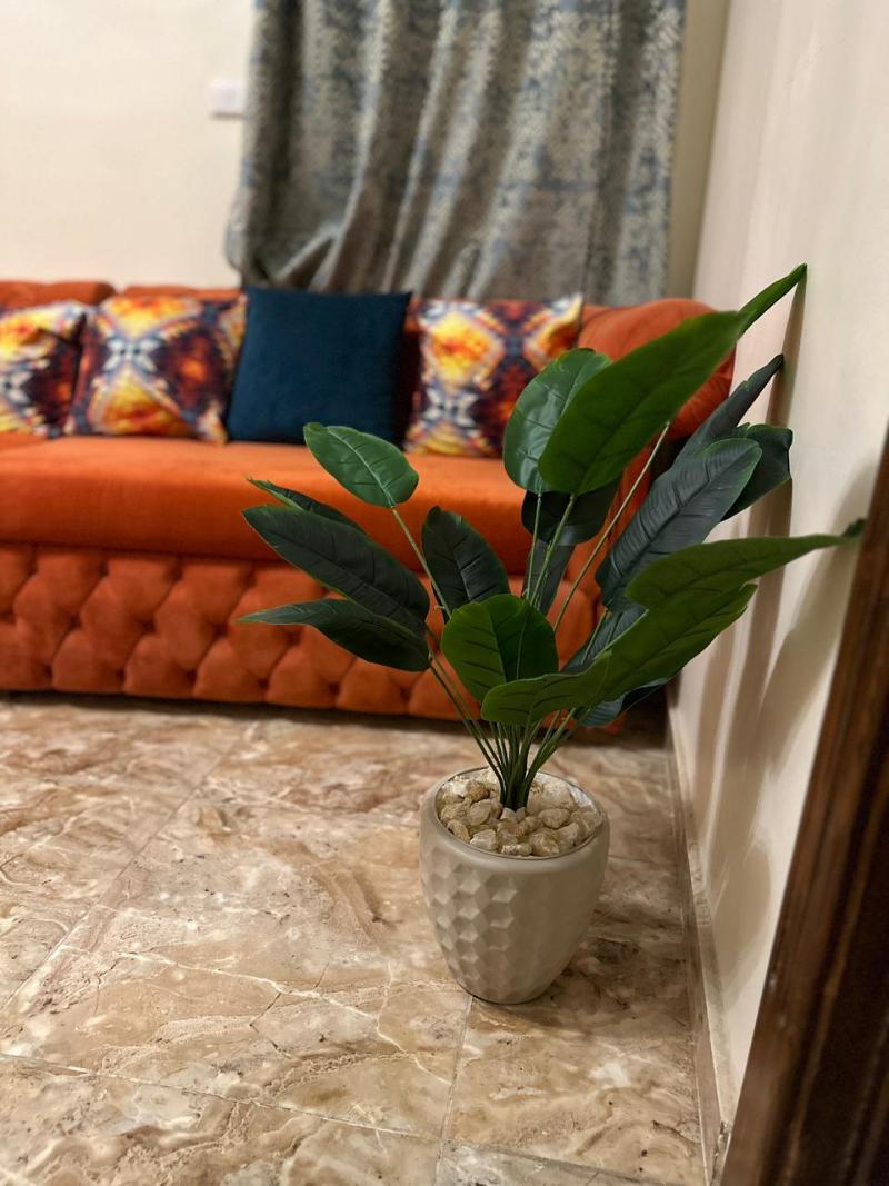 Luxe Nest image