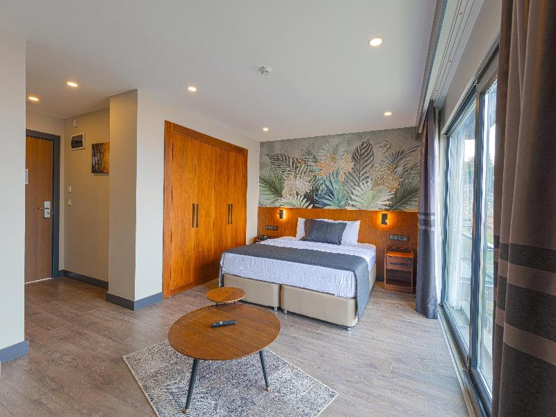 Best Western Plus Sapanca image