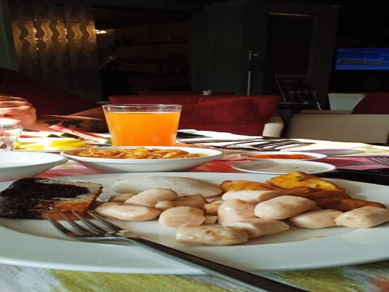 Hotel Skyline Manali image