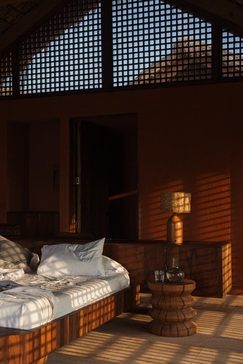 Caimán Puerto Escondido