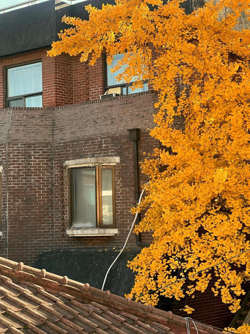 Jnineguesthouse image