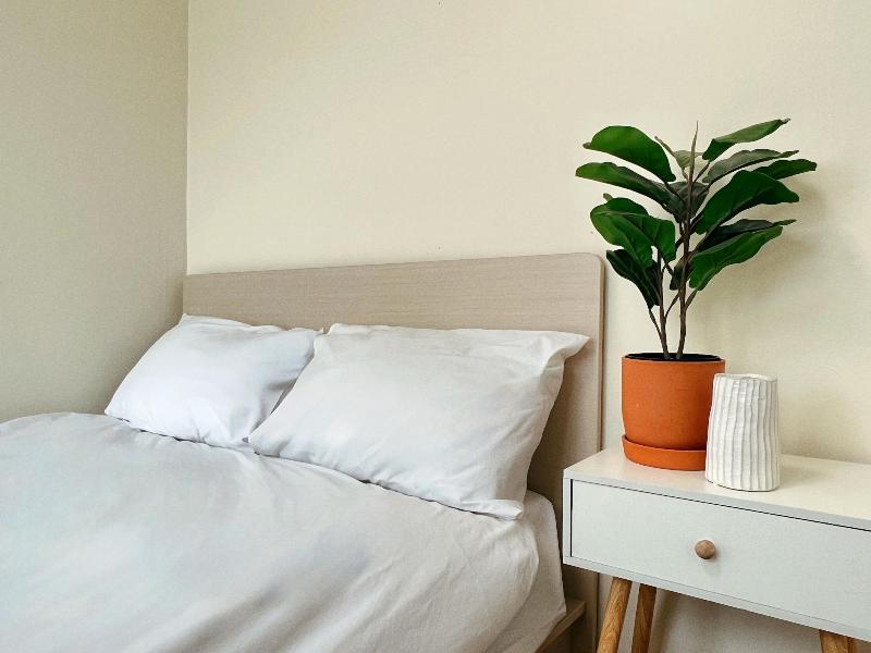 Jnineguesthouse image