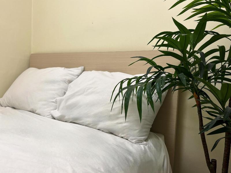 Jnineguesthouse image