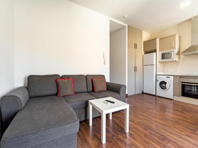 Luxury Apartments Puerto image